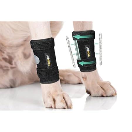 Dog Front Leg Brace Ankle Support for Forelilmb， Canine D