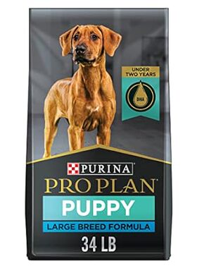 Purina Pro Plan Large Breed Dry Puppy Food， Chicken and R