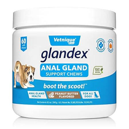 Glandex Anal Gland Soft Chew Treats with Pumpkin for Dogs