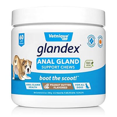 Glandex Anal Gland Soft Chew Treats with Pumpkin for Dogs