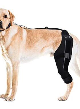 Dog Knee Brace， Support for Torn ACL Hind Leg， Luxating P