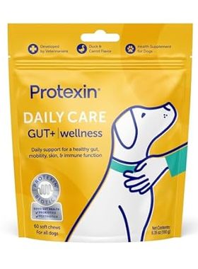 Daily Care Gut+ Wellness， 60 probiotic and postbiotic Dog