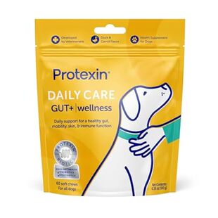 Daily Care Gut+ Wellness， 60 probiotic and postbiotic Dog