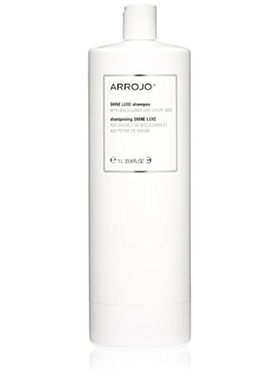 ARROJO AP100