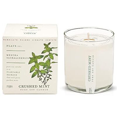KOBO Crushed Mint Scented Candle with Plantable Box (9 oz