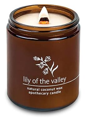 Hemlock Park Crackling Wood Wick Candle Handcrafted with