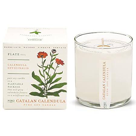 KOBO Catalan Calendula Scented Candle with Plantable Box
