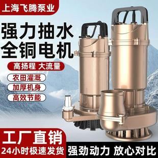 德国进口上海潜水泵220V抽水泵农用水井清水泵灌溉家用流量扬程人