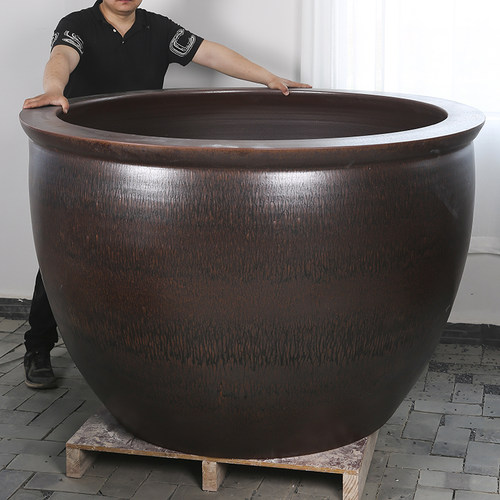 庭院大水缸睡莲荷花缸瓷缸