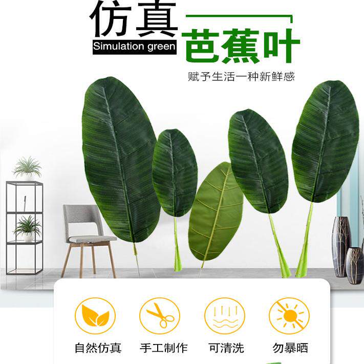 仿真大芭蕉叶过胶叶子香蕉叶小树叶绿叶装饰花植物针葵叶舞蹈道具