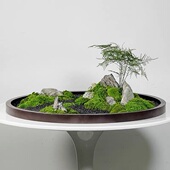 餐桌中间摆花电动转盘摆花装 饰品圆桌桌花摆件永生苔藓景观造景