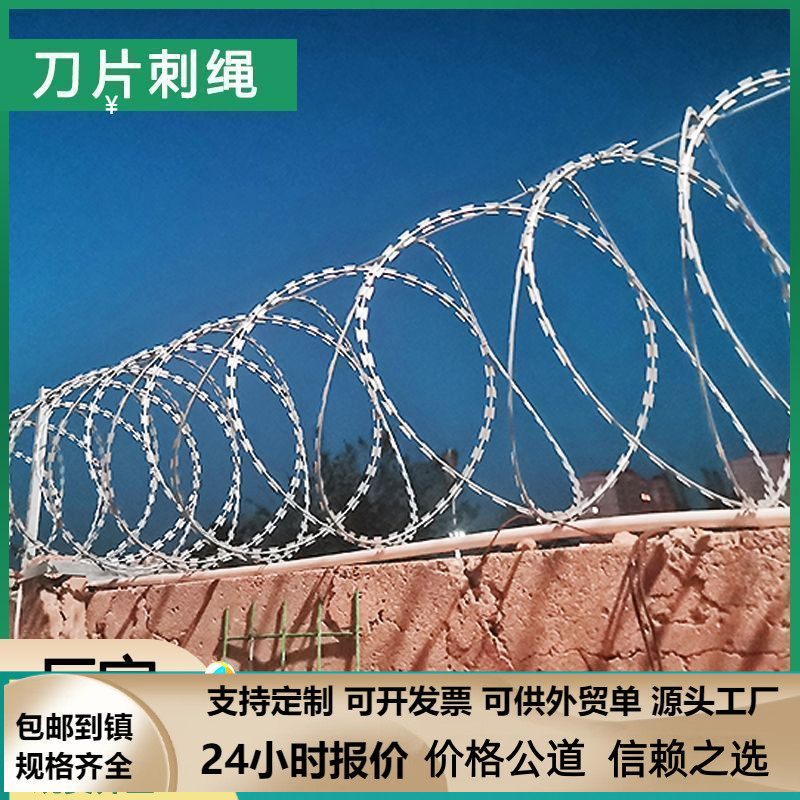 刀片刺绳防盗户外笼刺网防盗网防爬刺铁丝网晾衣绳带刺铁丝