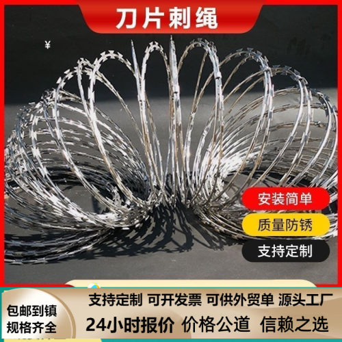 刀片刺绳刺丝不锈钢滚笼防爬刺网铁蒺藜围墙防爬防盗网镀锌铁刺