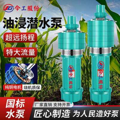 QD多级潜水泵220v高扬程家用抽水泵农田灌溉大流量380v高压深井泵
