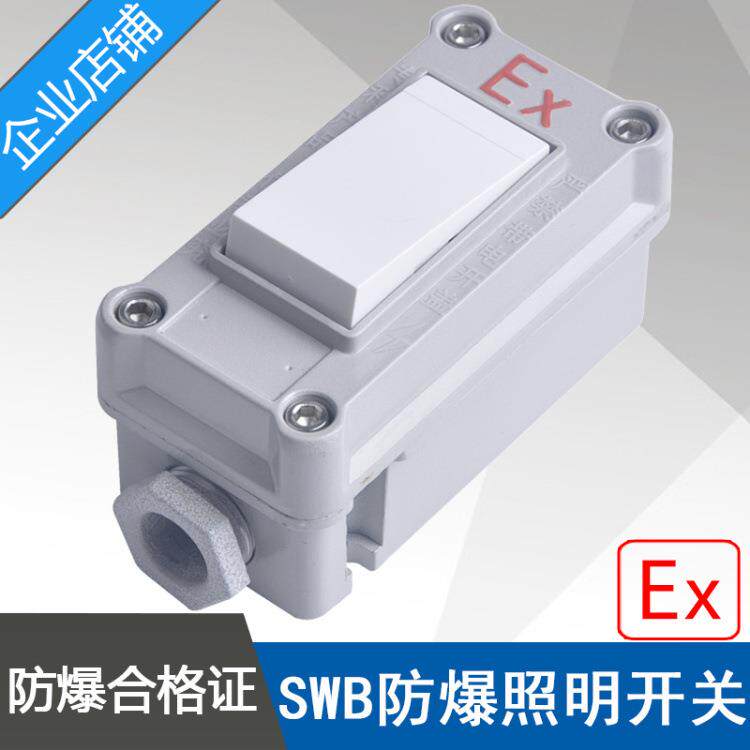 SWB-10A/I防爆照明开关电流10A电压220V一开单控双控防爆墙壁开关