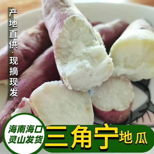 鲜尚舞白心番薯海南三角宁地瓜