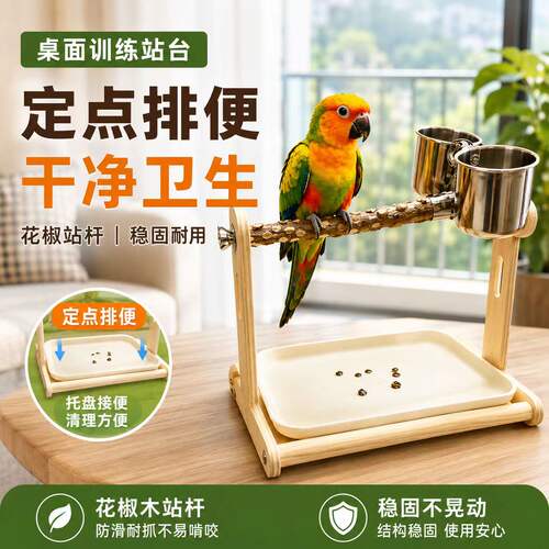 鹦鹉花椒站架定点排便拉屎神器专用站杆桌面训练站台鸟架鸟笼配件