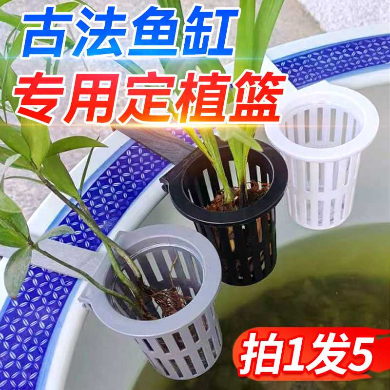 古法鱼缸水培定植篮壁挂式水草盒子加深大号周转箱造景植物控根盆