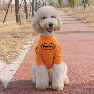 潮牌大型犬衣服夏季薄拉布拉多金毛萨摩耶巨贵防掉毛宠物大狗衣服