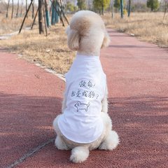 搞笑宠物大型犬衣服夏季薄款防掉毛巨贵金毛边牧拉布拉多大狗背心