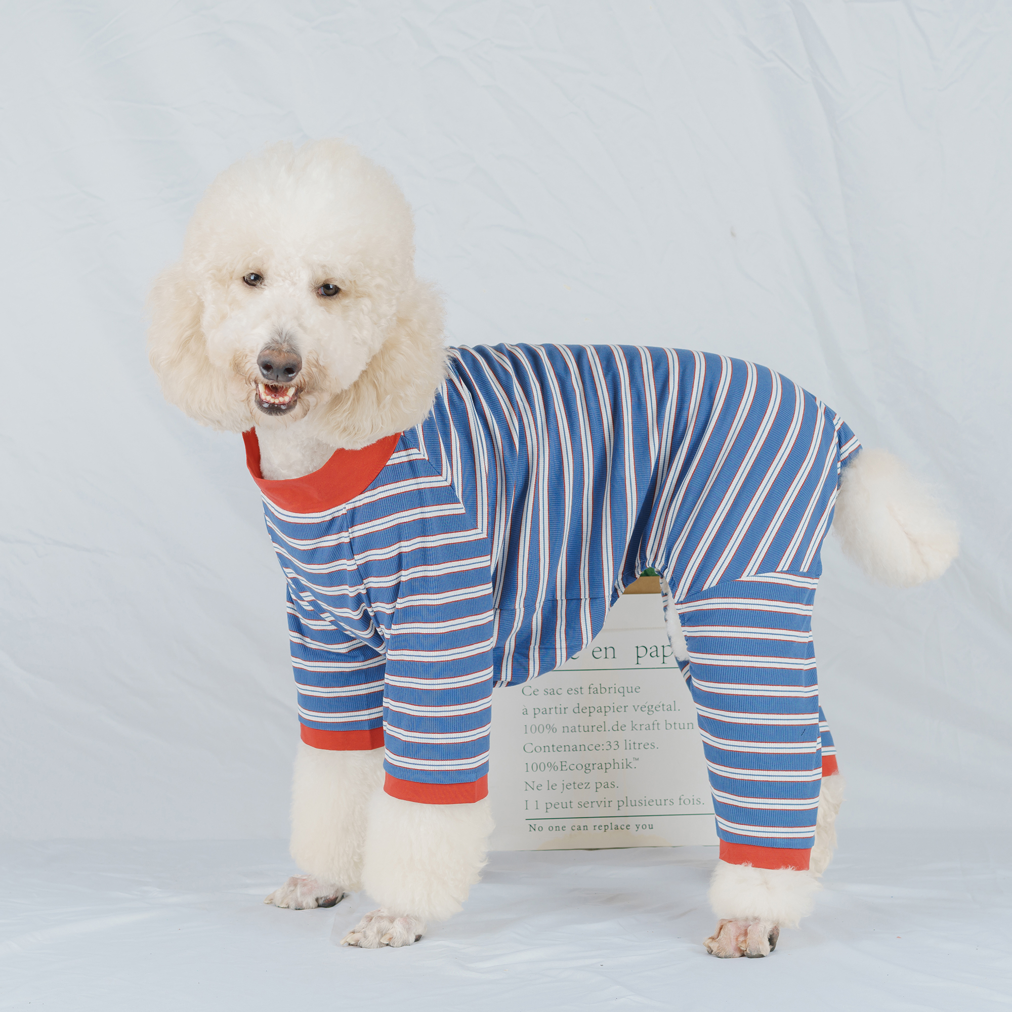 条纹狗狗衣服大型犬四脚衣秋冬