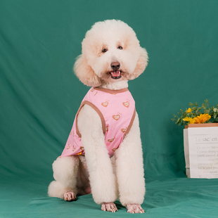 可爱大型犬狗狗背心2024夏季薄款拉布拉多金毛边牧哈士奇巨贵衣服