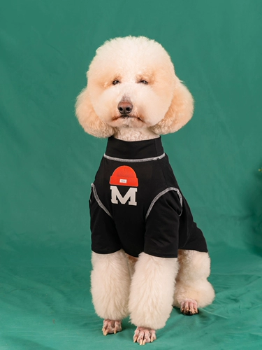 Tide Brand Big Dog T -Fork Dog Одежда весна и лето тонкий питомец Золотой ретривер Гигант Samarta Labrado Dog Одежда для собак