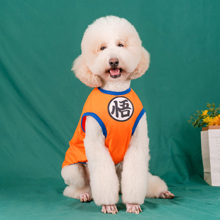 卡通狗狗背心大型犬衣服夏季薄款纯棉拉布拉多萨摩金毛巨贵衣服潮