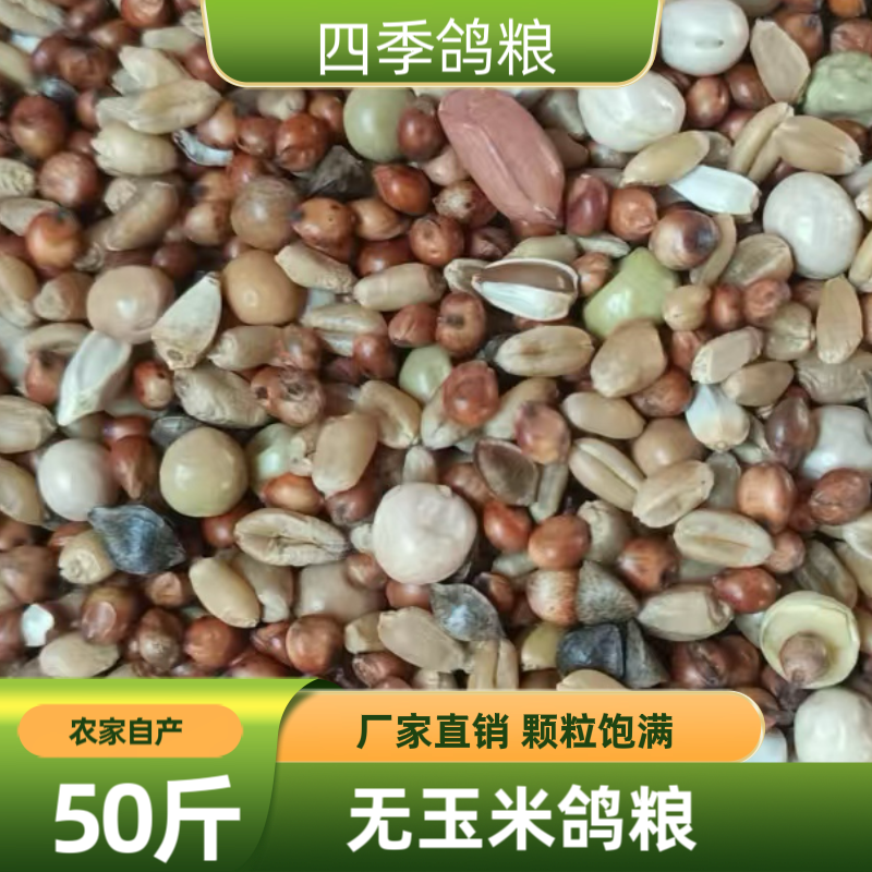 50斤新鲜无玉米鸽子粮营养饲料鸟食信鸽观赏鸽肉鸽幼鸽成鸽粮食,宠物/宠物食品及用品,鸟食,淘宝优惠券,粉丝福利购,淘宝优惠卷