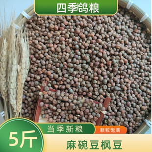 5斤装农家精品枫豆麻豌豆麻豆鸽粮赛飞信鸽粮食鸟食配料包邮