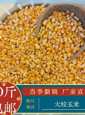 农家20斤装玉米粒鸽子粮