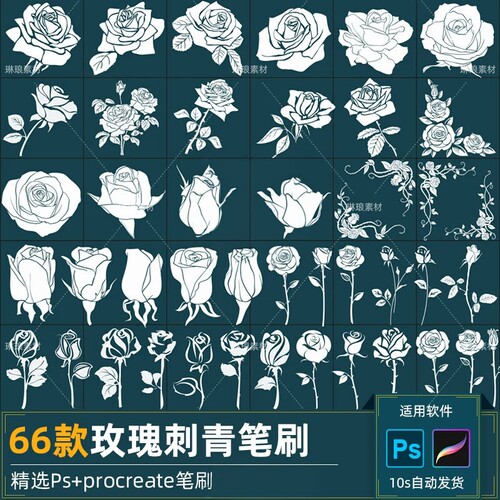玫瑰花朵procreate笔刷ps笔刷植物花卉剪影纹身刺青刺绣图案艺术