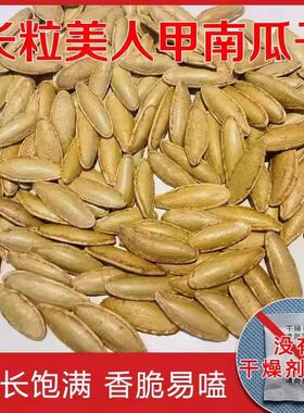 【原味！净重2斤】美人甲指甲型原味椒盐焗干炒货南瓜子零食500g