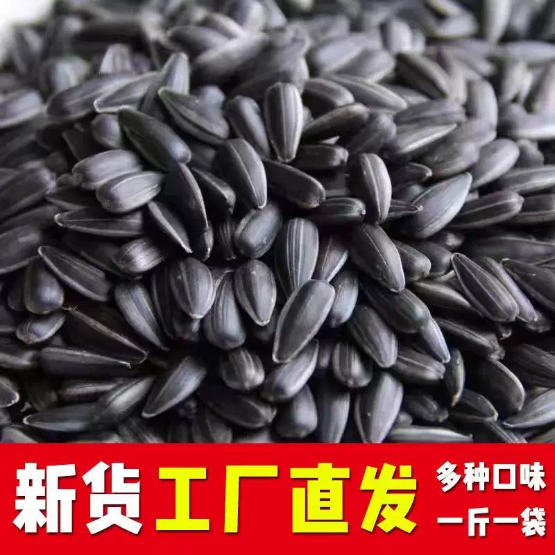 内蒙古黑珍珠油葵原味小瓜子独立小包装五香奶香瓜子批发解馋零食