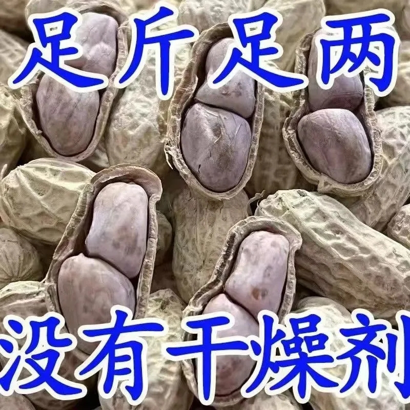 2025年新货水煮花生晒干农家水煮咸干白晒花生坚果零食特产500g
