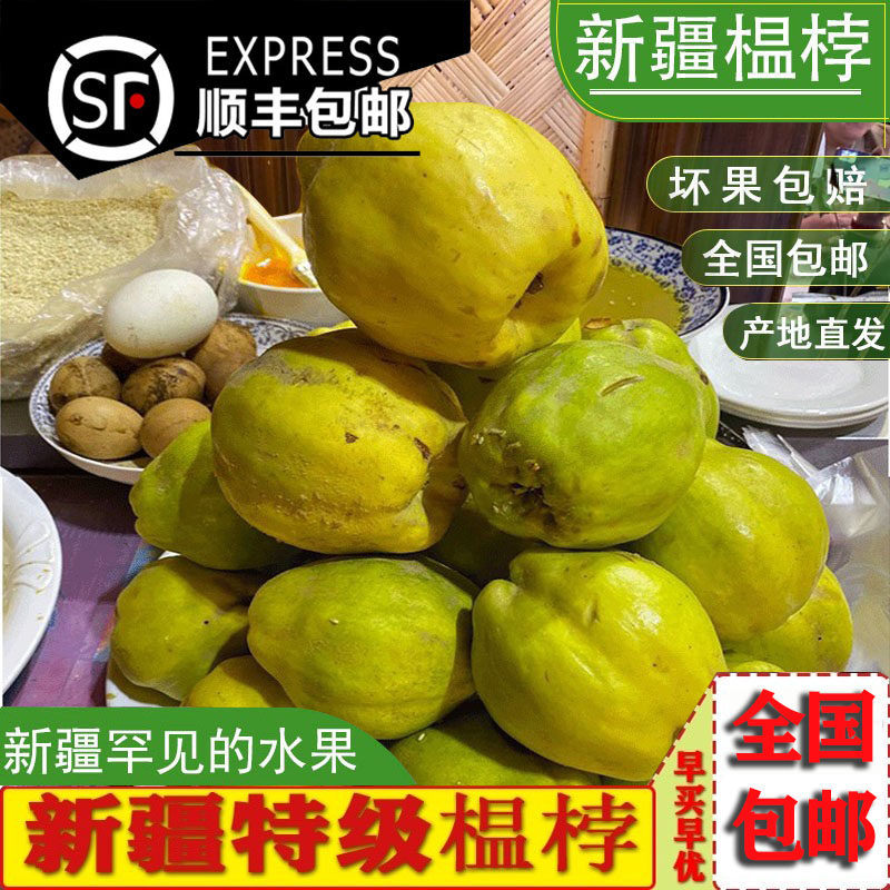 新年新的鲜榲桲新疆特色温桲之皇温柏瓜榅桲新疆木瓜5斤包邮木梨
