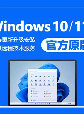 正版win10电脑系统重装专业版windows10 11家庭版远程安装服务11