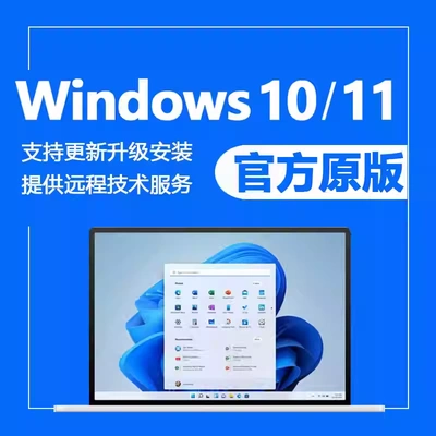 正版win10电脑系统重装专业版windows10 11家庭版远程安装服务11