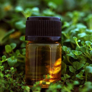 oil Peppermint peppermint pure 100ml mint natural Oil