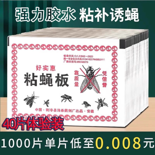 苍蝇贴强力粘蝇纸粘蝇板蚊子一扫光家用灭蝇子捕捉器克星飞虫果蝇