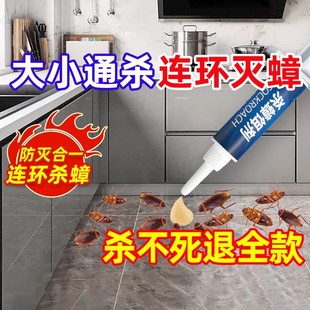 驱除灭宿舍一锅端神器诱饵剂 杀蟑胶饵蟑螂药全窝端家用非无毒正品