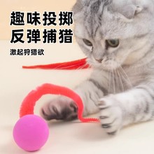 宠物彩色猫玩具塑料球逗猫圆球玩具互动猫咪用品逗猫球宠物猫玩具
