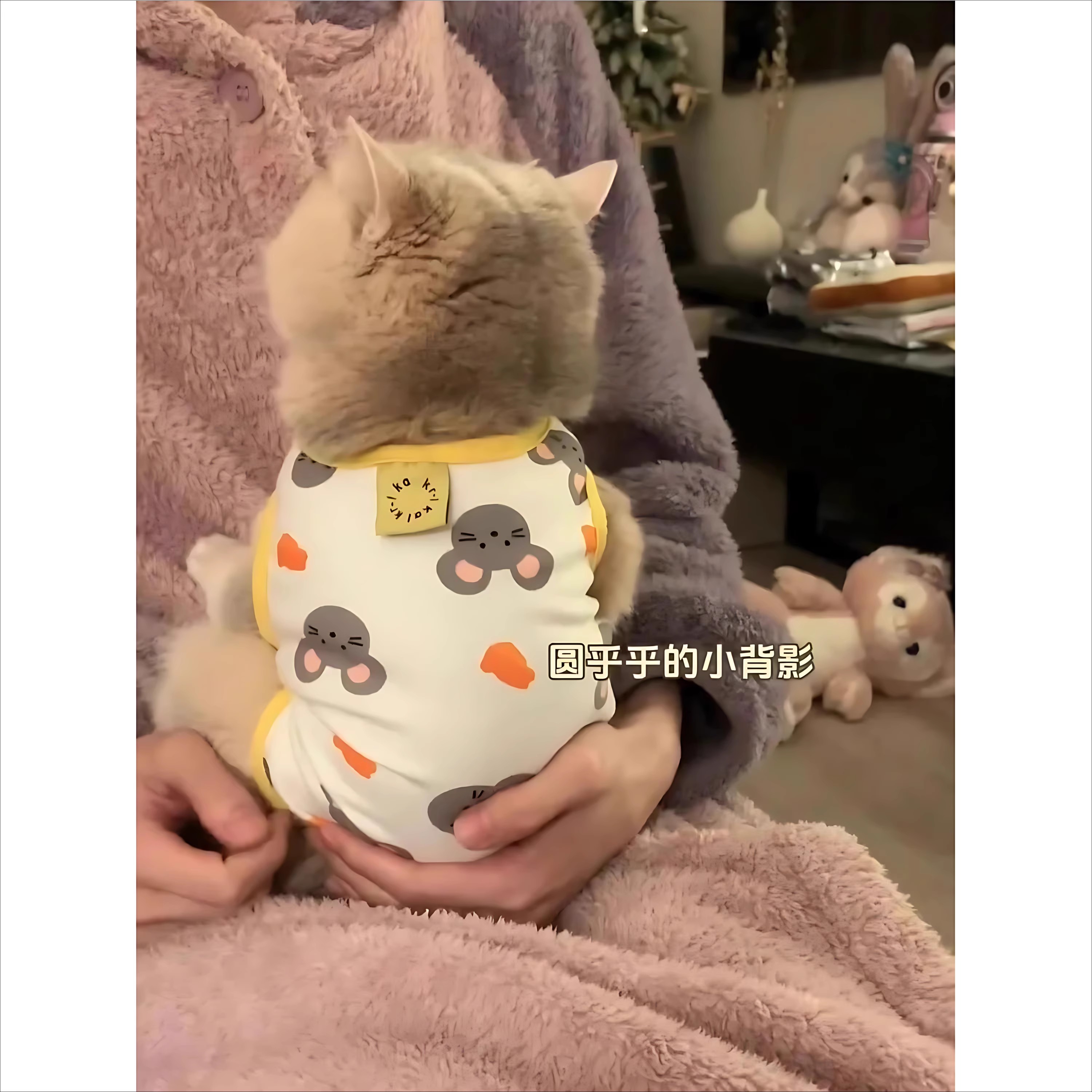 猫咪衣服夏季薄款背心猫猫夏天防掉毛宠物小奶猫幼犬狗狗吊带衣服