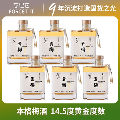 6瓶整箱日本本格梅酒青梅酒