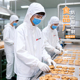 食品厂工作服白大褂套装 定制加工生产防尘车间连帽防护服男女工装