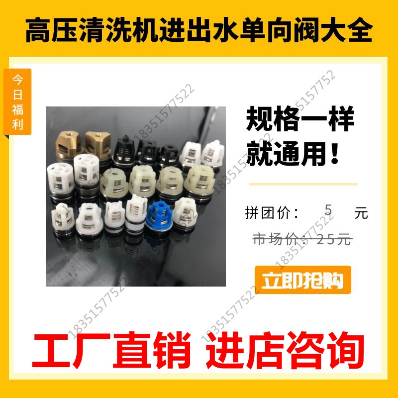 黑猫飞邦驰大乘洗车机单向阀泵头逆水阀洗车泵阀门洗泵头通用配件