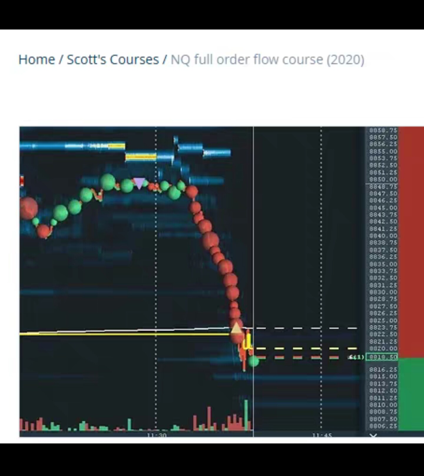 订单流:Scott Pulcini-NQ完整订单流程课程，带翻译