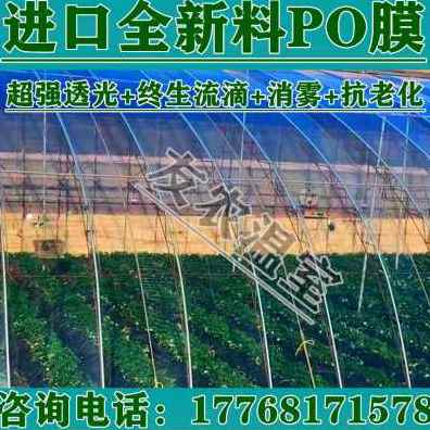 新品厂销进口抗老化大棚膜消雾PO膜草莓无滴膜塑料薄膜保温加厚养