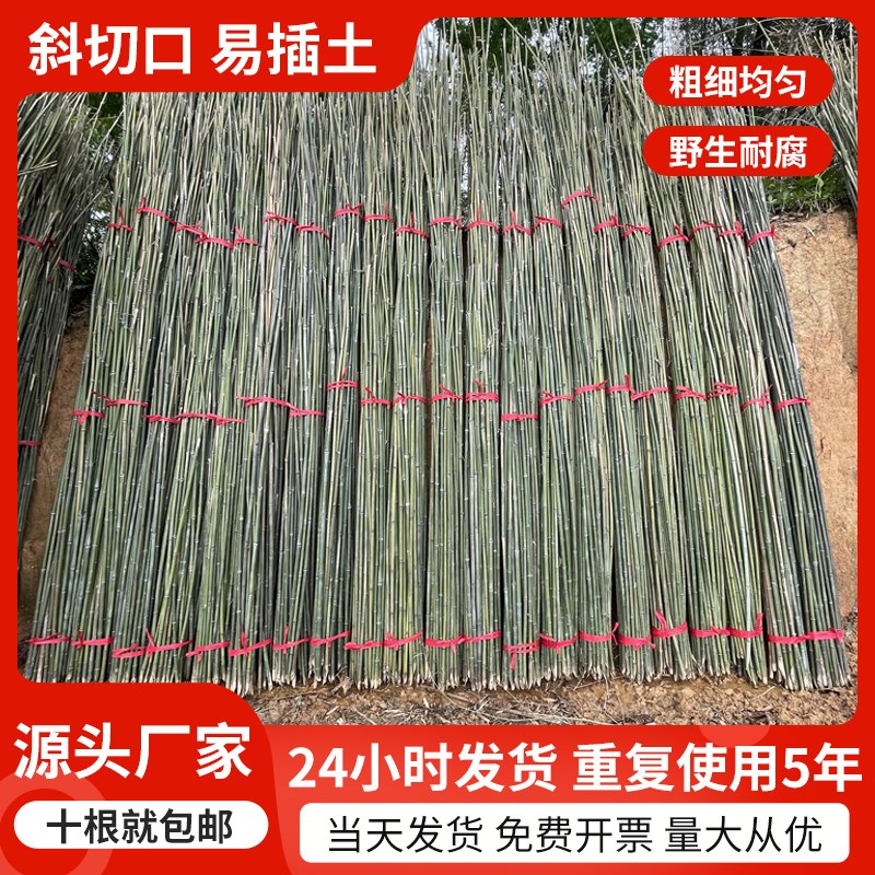 10根竹竿子园艺支架豆角黄瓜支撑杆花架植物番茄固定爬藤菜园搭架