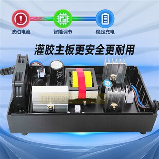 宝岛电动车原装充电器48V30Ah60V72EV96V20Ah铅酸石墨烯新国标插